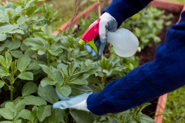 Agricultural Chemicals Suppliers